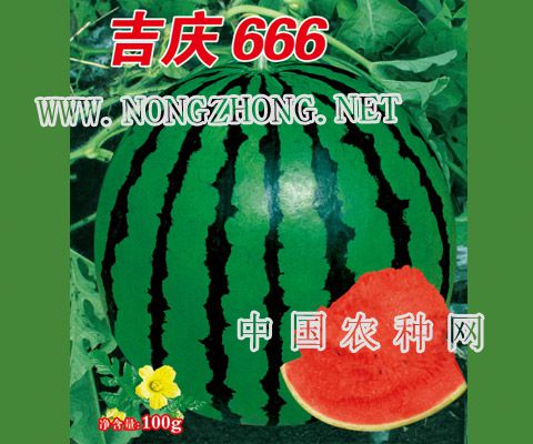 吉庆666